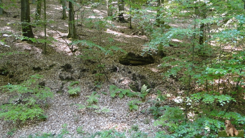 Ritterstein Nr. 177-5 Schmugglersdell.JPG - Ritterstein Nr.177 Schmugglersdell